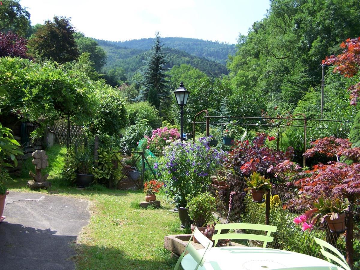 Gîte aux Sapins Sainte-Marie-aux-Mines Extérieur photo